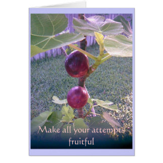 Fotokort 3 hälsningskort