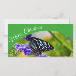 fotokort för australiska God jul Julkort