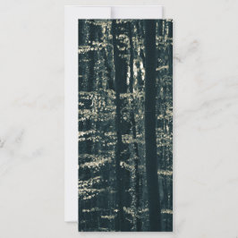 Fotokort för Beech Forest Nature