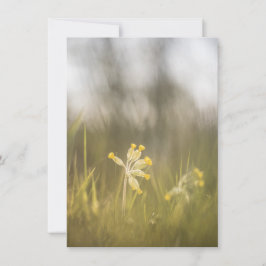 Fotokort för blomningstyp för gult