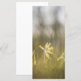 Fotokort för blomningstyp för gult