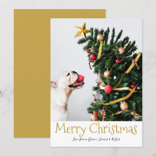 Fotokort för enkel Roligt i god jul Inbjudningar