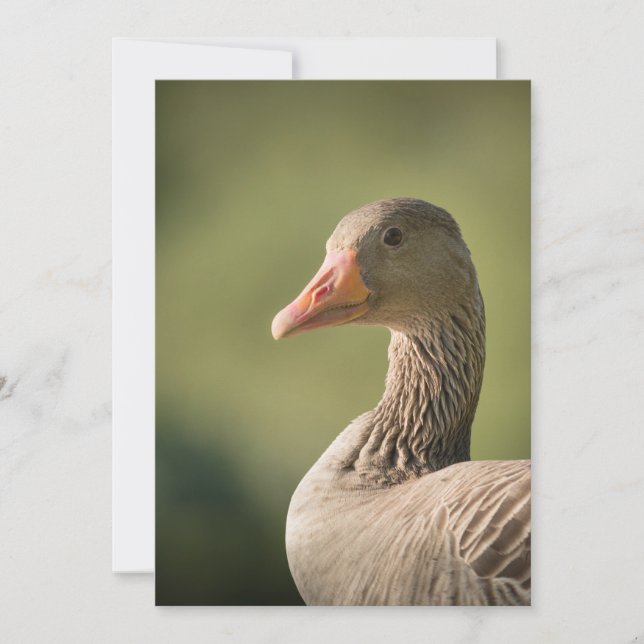 Fotokort för gästnatur spara datumet (Framsida)