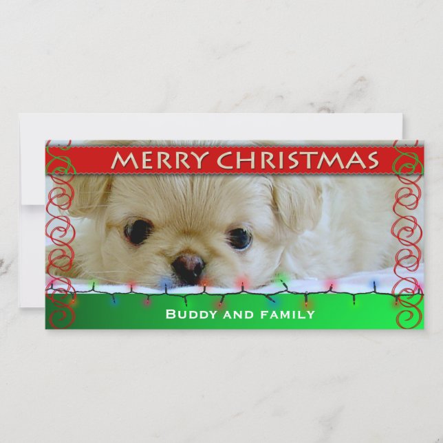 Fotokort för god jul Personlig Hund Julkort (Framsida)