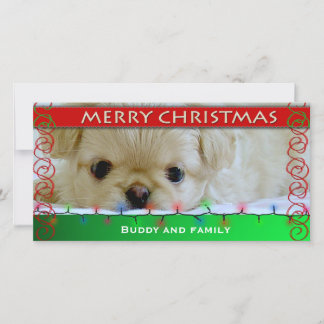 Fotokort för god jul Personlig Hund Julkort