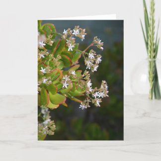 Fotokort för Jade-blommor Kort