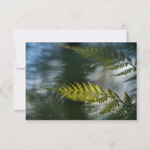 Fotokort för natur i framtidens natur