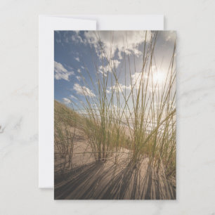 Fotokort för persiko- och Sol-natur