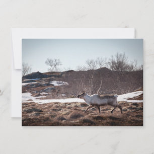 Fotokort för renhet