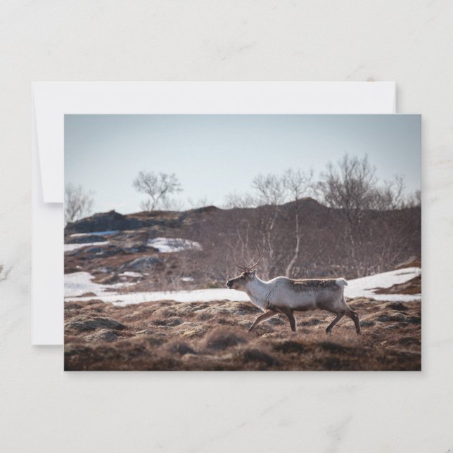 Fotokort för renhet (Framsida)