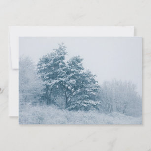 Fotokort för Träd-vinter-natur med snö-täckning