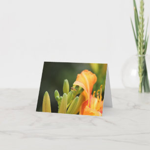 Fotokort, hoverfly på orange lily inbjudan