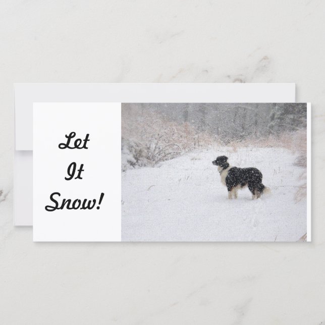 fotokort - Låt det snöa! Julkort (Framsida)