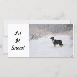 fotokort - Låt det snöa! Julkort