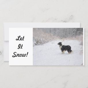 fotokort - Låt det snöa! Julkort