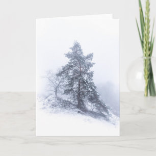 Fotokort med Snö-täckning för Träd Kort
