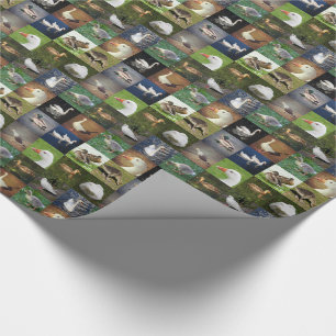 Fotolappverk - fåglar presentpapper