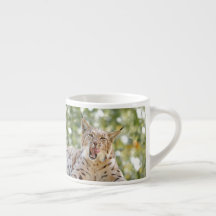 Fotolo, katt, djur . espresso kopp