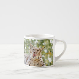 Fotolo, katt, djur . espresso kopp espressomugg