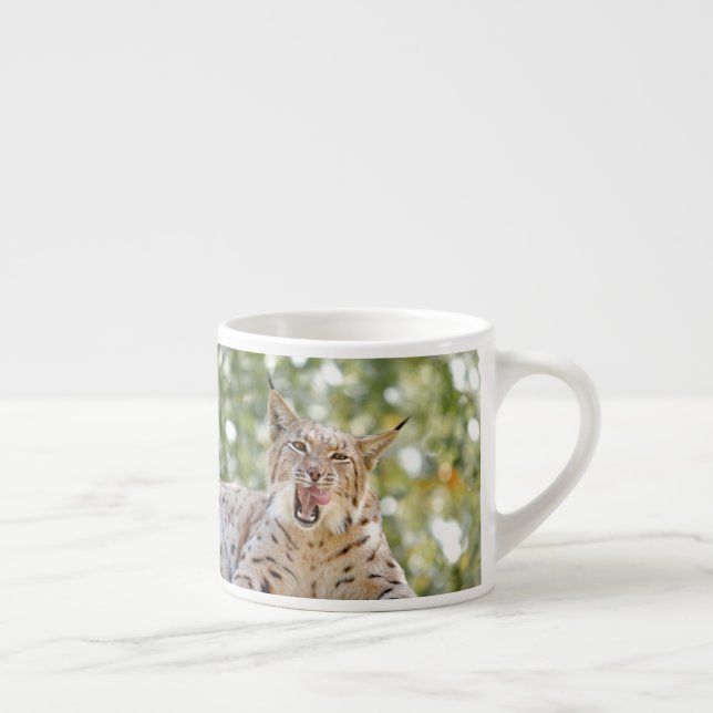 Fotolo, katt, djur . espresso kopp espressomugg (Höger)