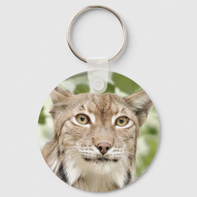 fotolynx från nyckelkedjan , katt , djur . nyckelring (Framsida)