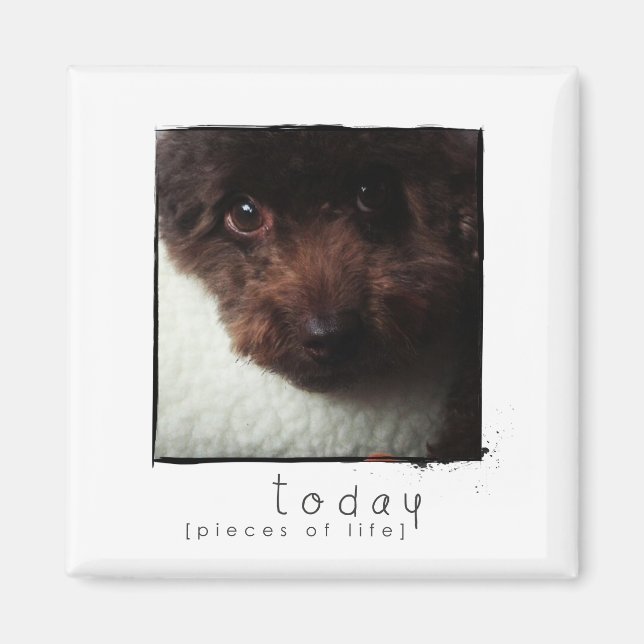 fotomagnet för instagram-vän magnet (Framsidan)