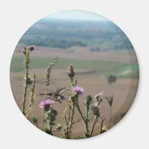 Fotomagnet för natur och fjäril magnet
