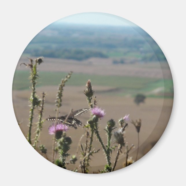 Fotomagnet för natur och fjäril magnet (Framsidan)