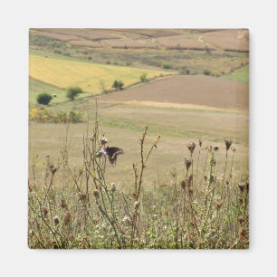 Fotomagnet för natur och fjäril magnet