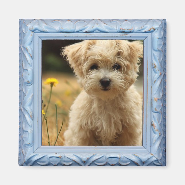 fotomagnet i instagram magnet (Framsidan)