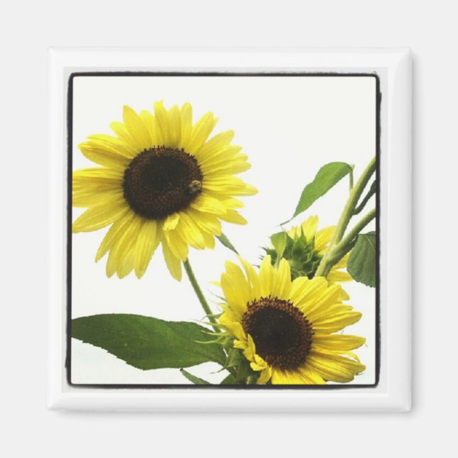 fotomagnet i instagram magnet (Framsidan)