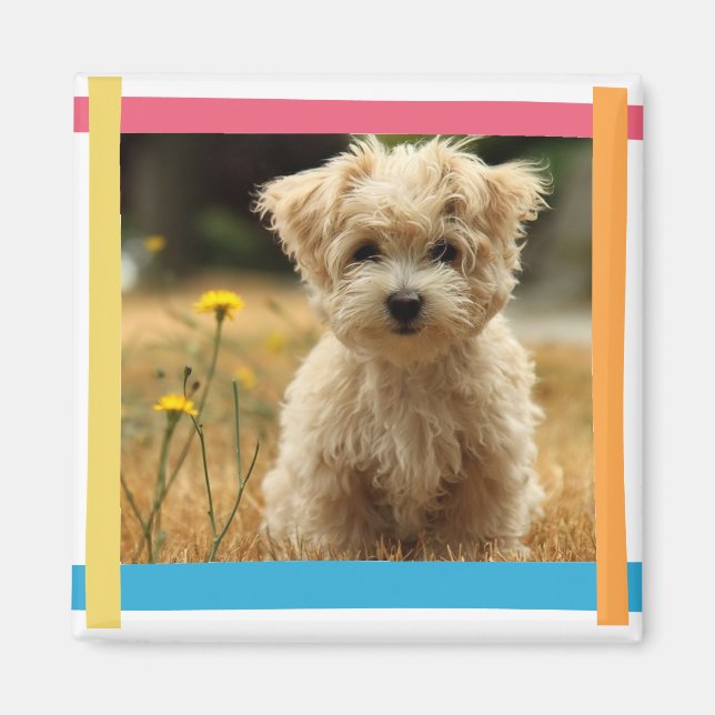 fotomagnet i instagram magnet (Framsidan)