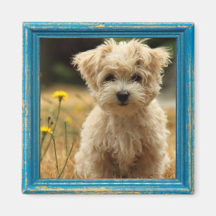 fotomagnet i instagram magnet