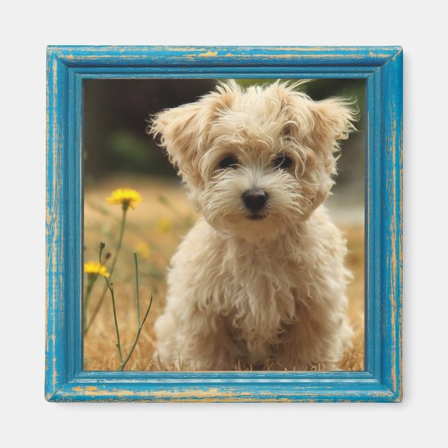 fotomagnet i instagram magnet (Framsidan)