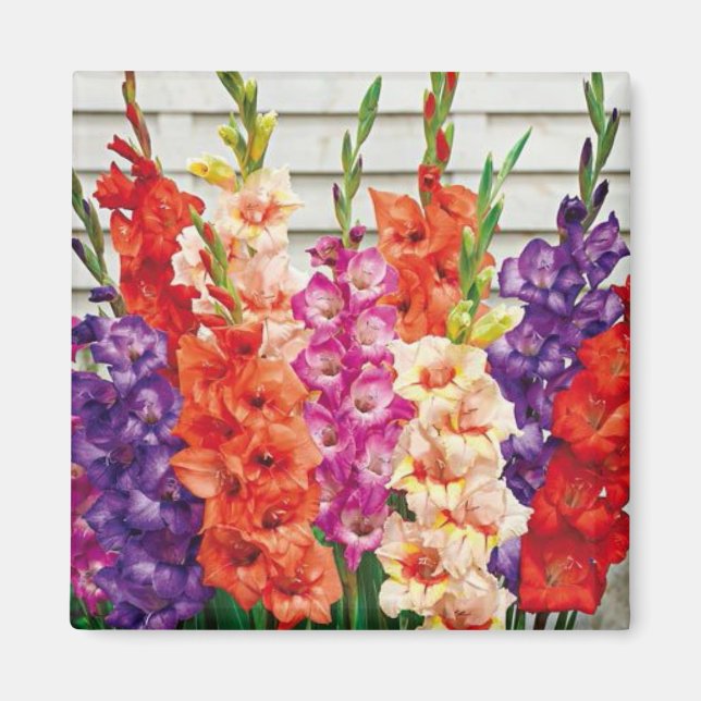 Fotomall 2 x 2 kvadratisk kylskåp, magnet (Framsidan)