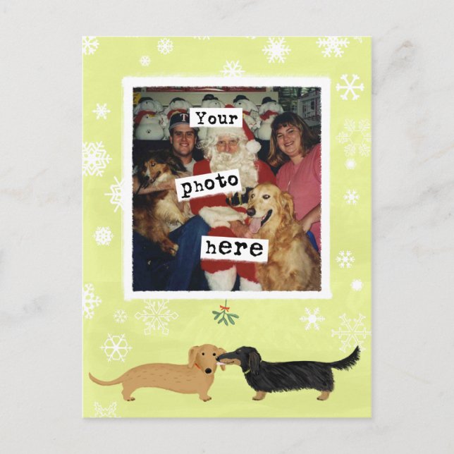 Fotomall för Dachshund Mistletoe Wiener Hundar Vykort (Framsida)