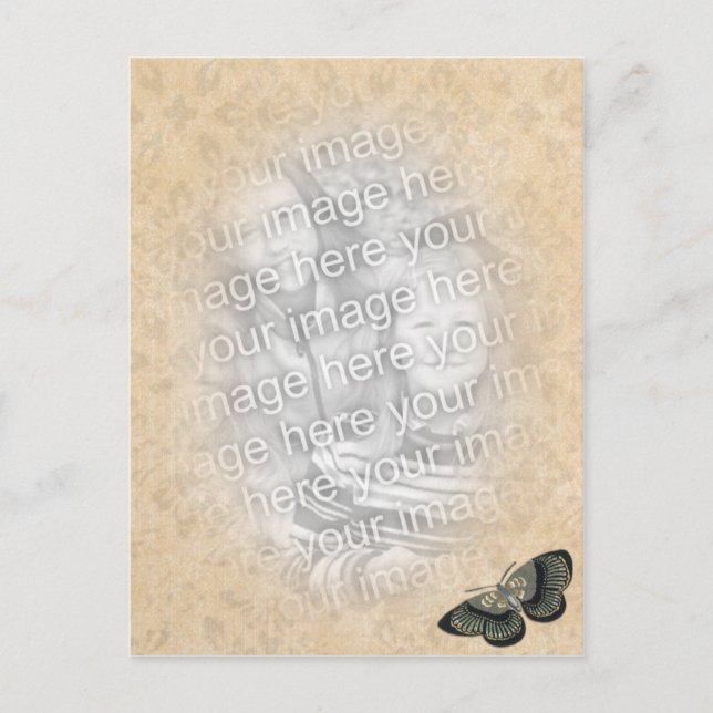 fotomall för fjäril vykort (Framsida)