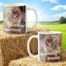 Fotomall för glatt lutad Chicken-huvud