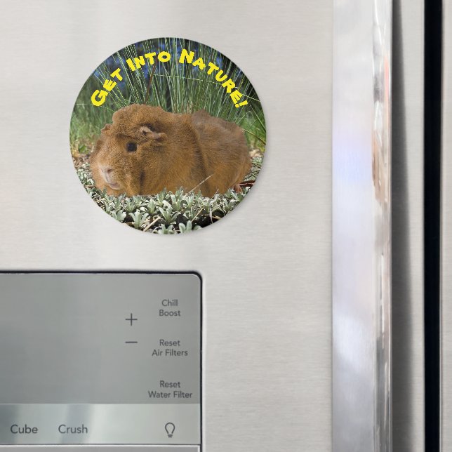 Fotomall för naturinspirerad Cute Guinea-Gris Magnet (In Situ (Fridge))