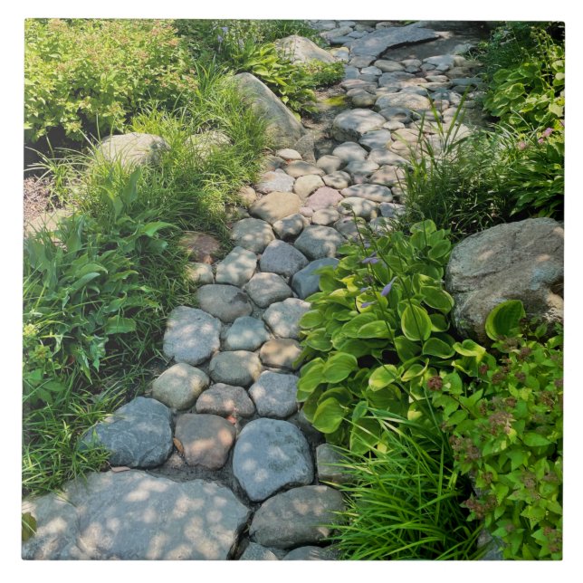 Fotomall för solbelyst träd med vackert skogsfoto kakelplatta (Framsidan)