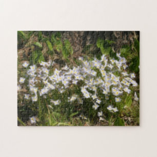 Fotomålning av nyans av små Blåa blommor Pussel