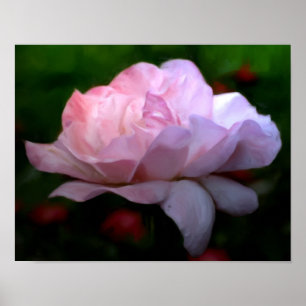 Fotomålning för himmelska Rosa ros-blommor Poster