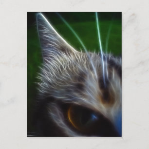 Fotomanipulation av katt och Öga Vykort