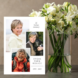 Fotomappat galleriprogram program