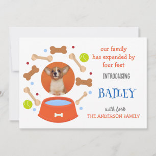 Fotomeddelande om adoption av Cute Pet-Hund Meddelande