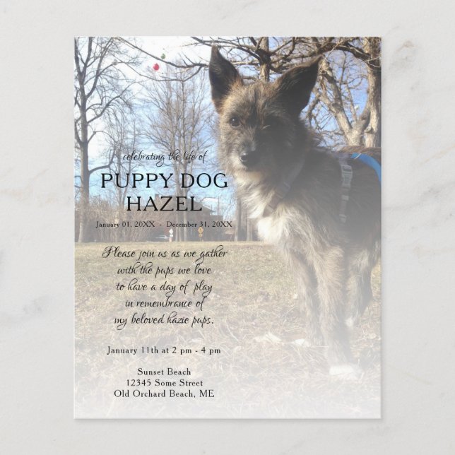 fotominnesbild på högerna (Framsida)