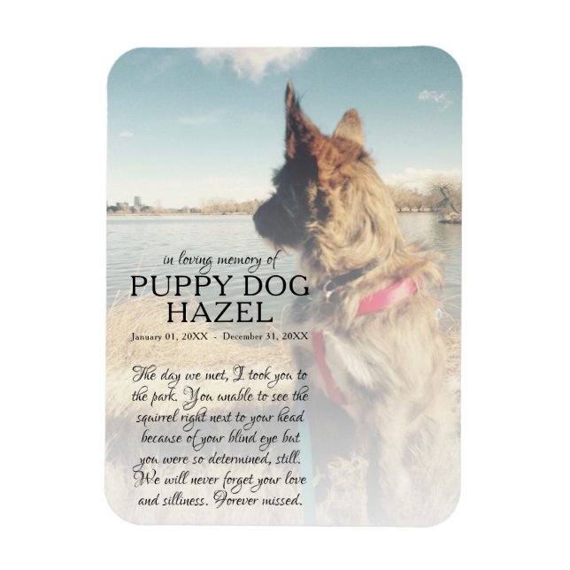 fotominnesbild på högerna magnet (Vertikal)