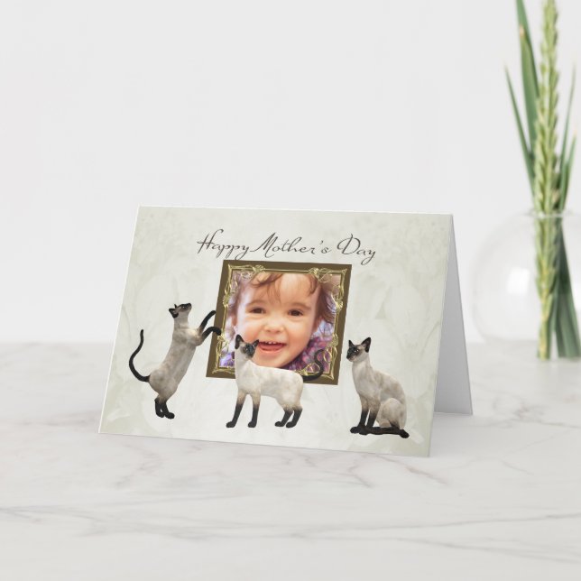 Fotomors dagkort med siamese katter kort (Framsida)