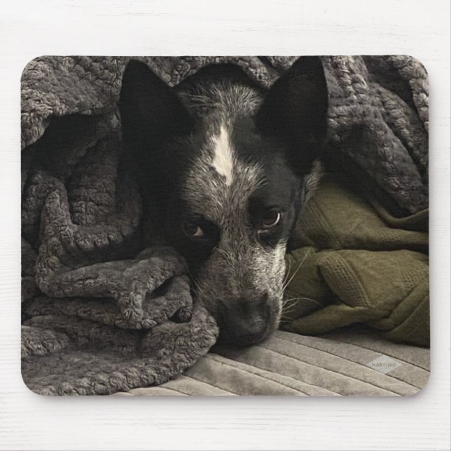 Fotomus Pad - HAMbyWG Musmatta (Framsidan)