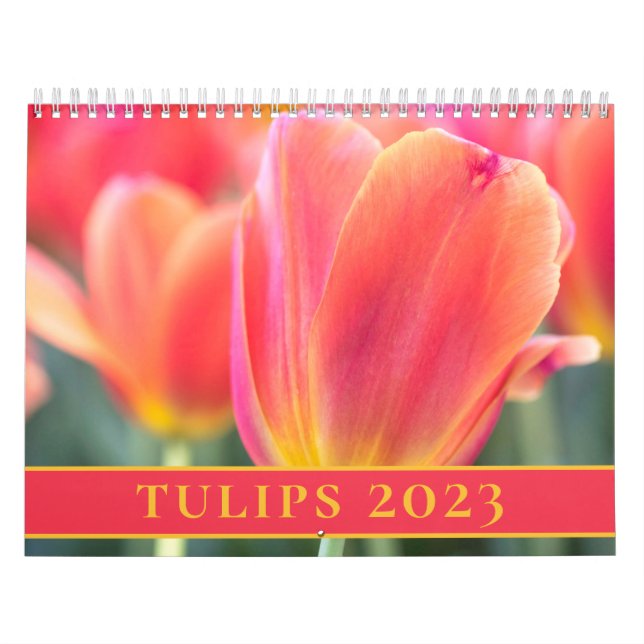 Foton 2023 kalender (Omslag)